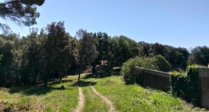 Franja incendis forestals